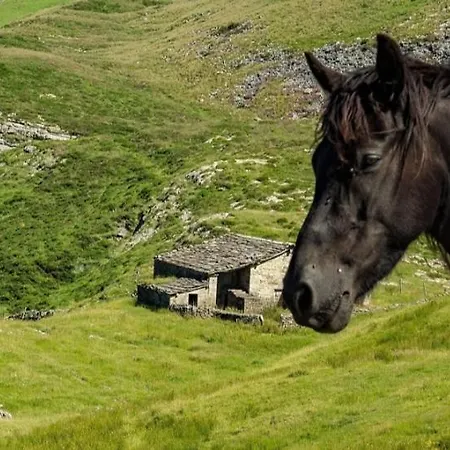 Country house Preciosa En El Pas De Miera *